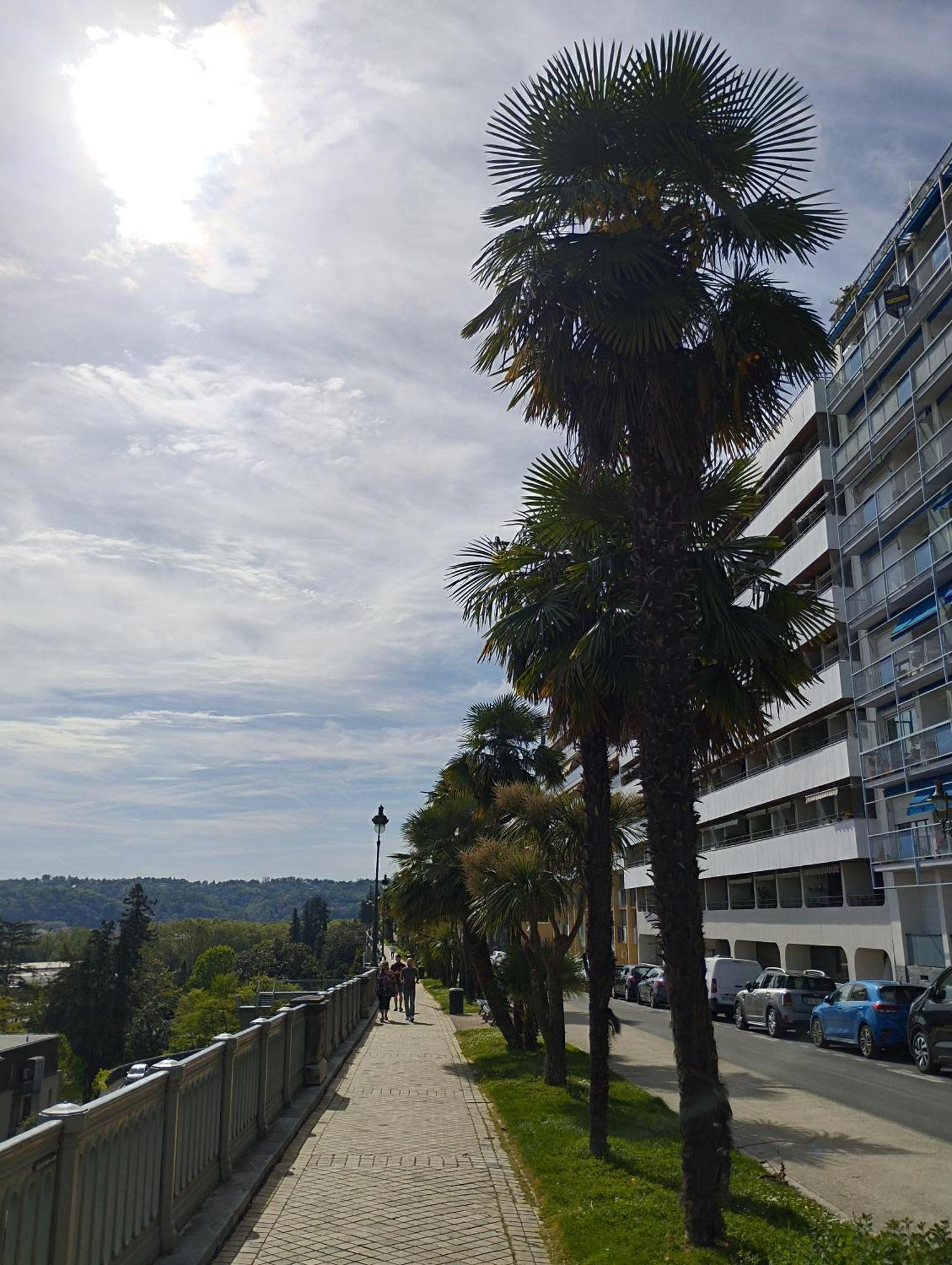 Chambrette Boulevard Des Pyrenees Hypercentre 10M Carre Wc Sur Le Palier, Porte40 Pau Exterior foto